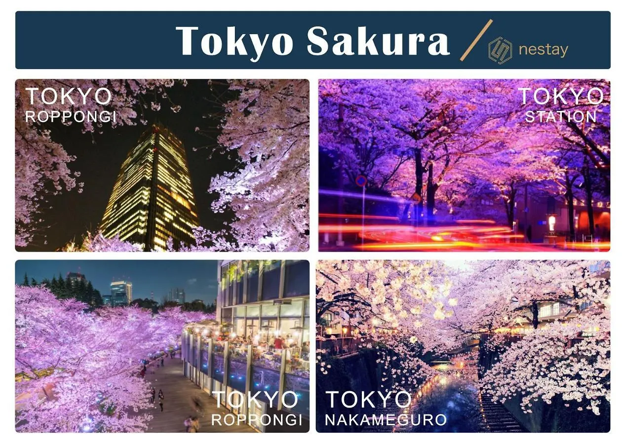 Nestay Villa Tokyo Otsuka 0*,