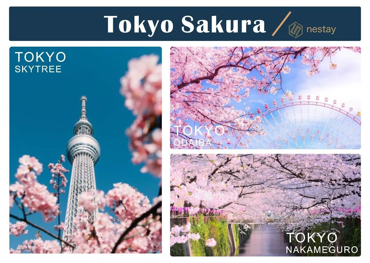 Nestay Villa Tokyo Otsuka 0*,  Japan